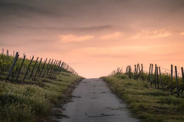 major life transition new path at sunset